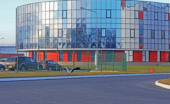 Производство замороженных мясных полуфабрикатов и готовых блюд «Мираторг» (пос.Невское, Калининградская обл.)