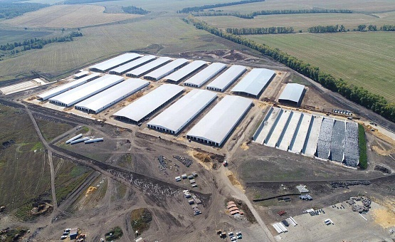 Сельскохозяйственный комплекс по выращиванию, убою и переработке свиней  «БрянскАгрострой»  (п. Черницыно, Курская обл.)